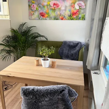 Apartment Carogruen-gemuetlich-sonnig-kueche-bad-ruhe-garten-parken-pool-wlan Erfurt
