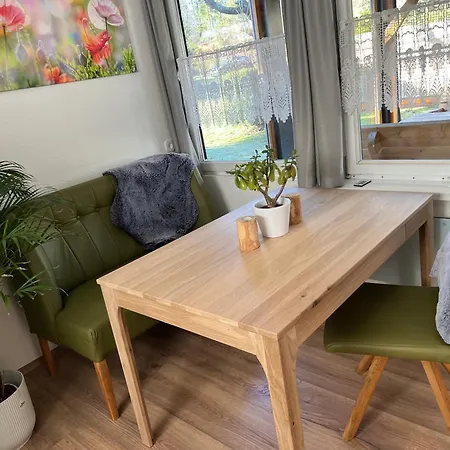 Carogruen In Erfurt-gemuetlich-sonnig-kueche-bad-garten-parken-pool-sauna-wlan إرفورت