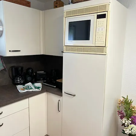 Apartment Carogruen-gemuetlich-sonnig-kueche-bad-ruhe-garten-parken-pool-wlan *