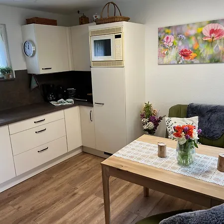 Apartment Carogruen-gemuetlich-sonnig-kueche-bad-ruhe-garten-parken-pool-wlan