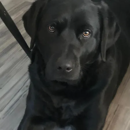 Carogruen In Erfurt-gemuetlich-sonnig-kueche-bad-garten-parken-pool-sauna-wlan * Эрфурт