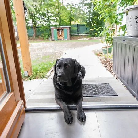 Waldpeter Bei Carogruen In Erfurt-gemuetlich-sonnig-garten-parken-pool-sauna-wlan アパート *