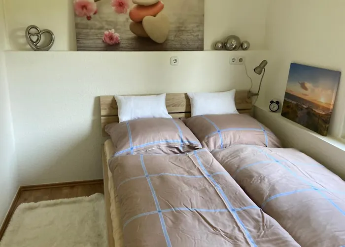 Carogruen In Erfurt-gemuetlich-sonnig-kueche-bad-garten-parken-pool-sauna-wlan * Эрфурт