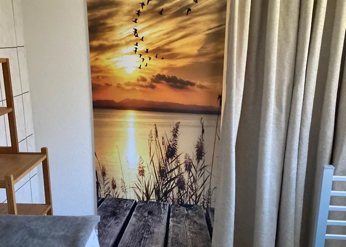 In Erfurt-gemütlich-sonnig-küche-bad-garten-parken-pool-sauna-wlan-carogrün *