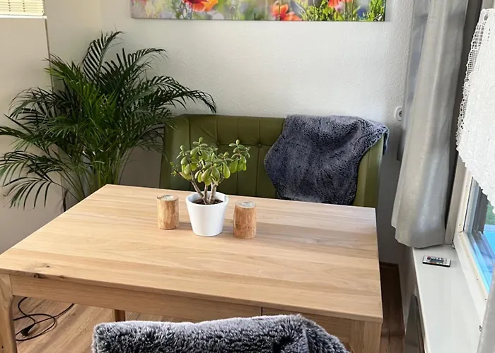 Apartment In Erfurt-gemütlich-sonnig-küche-bad-garten-parken-pool-sauna-wlan-carogrün Erfurt