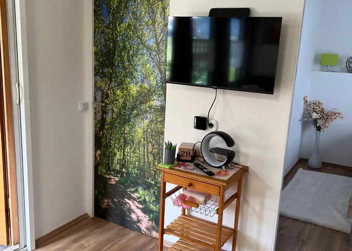 In Erfurt-gemütlich-sonnig-küche-bad-garten-parken-pool-sauna-wlan-carogrün Apartment Erfurt