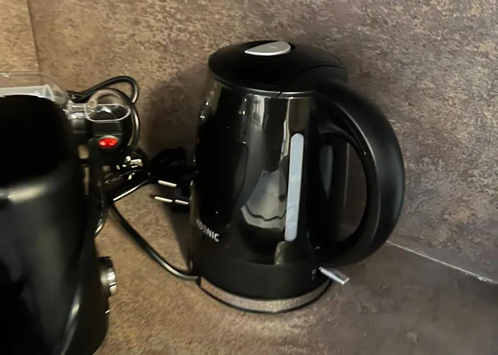 Apartment In Erfurt-gemütlich-sonnig-küche-bad-garten-parken-pool-sauna-wlan-carogrün Erfurt