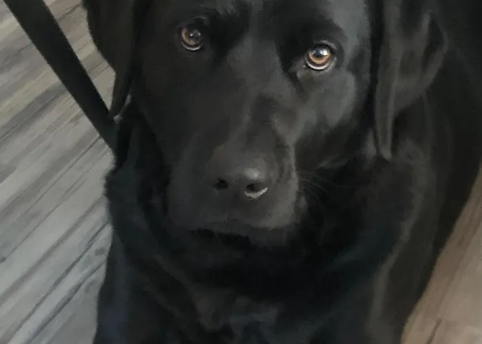 Carogruen In Erfurt-gemuetlich-sonnig-kueche-bad-garten-parken-pool-sauna-wlan * Erfurt